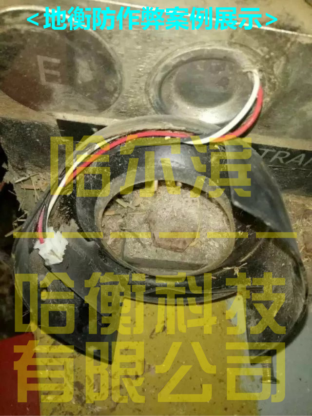 大秤遥控器预警仪-哈尔滨哈衡科技有限公司
